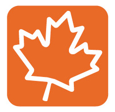 Q4: Fall into Winter Q4: Fall into Winter