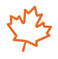 Q4: Fall into Winter