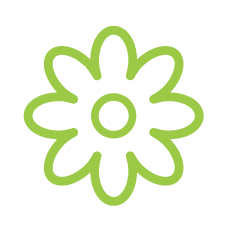 Q2: Spring into Summer