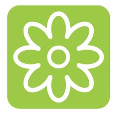 Q2: Spring into Summer Q2: Spring into Summer