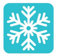 Q1: Winter into Early Spring Q1: Winter into Early Spring